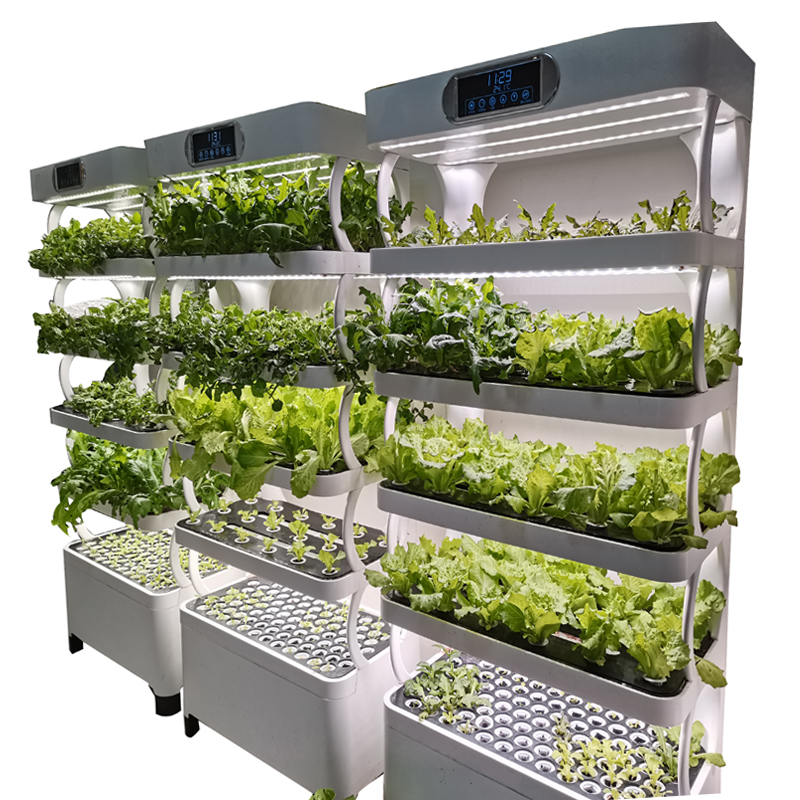 Smart Garden System - 屋内スマート低価格水耕栽培垂直庭園水耕栽培植物野菜栽培システムキット CE