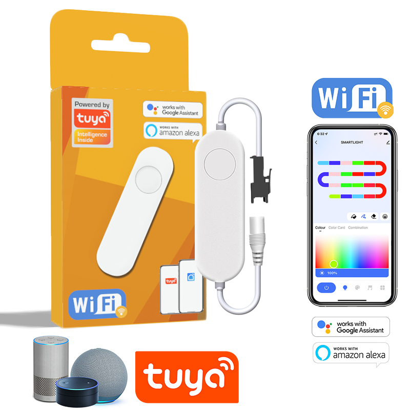 Smart Garden Light Controller - TUYA アドレス指定可能なコントローラ WIFI RGBIC 調光器 12-24V