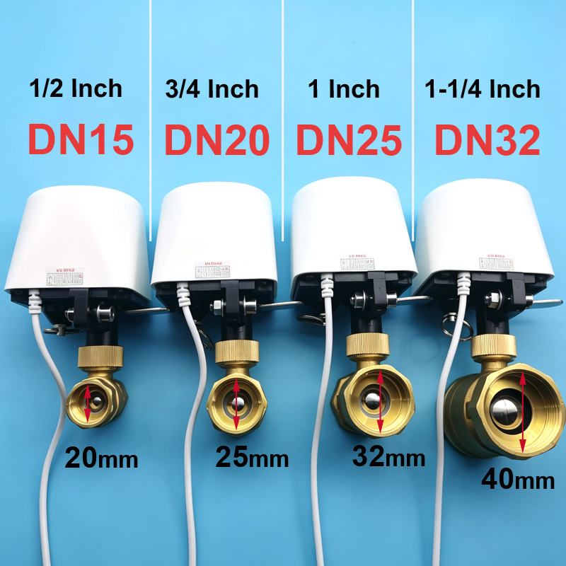 1/2インチ 3/4インチ 1インチ DN32 Tuya Z - Smart Garden System のレビューと価格