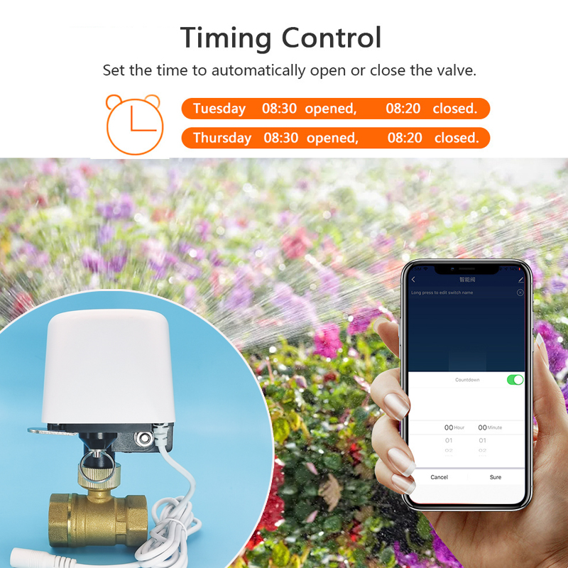 1/2インチ 3/4インチ 1インチ DN32 Tuya Z - Smart Garden System のレビューと価格