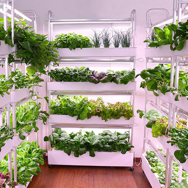 水耕栽培システム,家庭菜園の植物の栽培のための垂直のインテリ - Smart Garden Box のレビューと価格