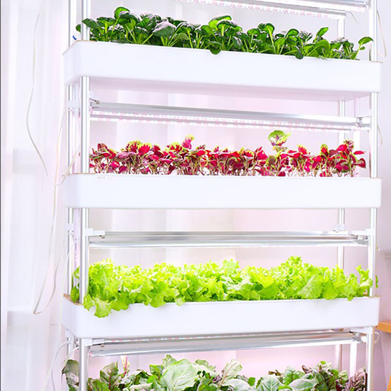 水耕栽培システム,家庭菜園の植物の栽培のための垂直のインテリ - Smart Garden Box のレビューと価格