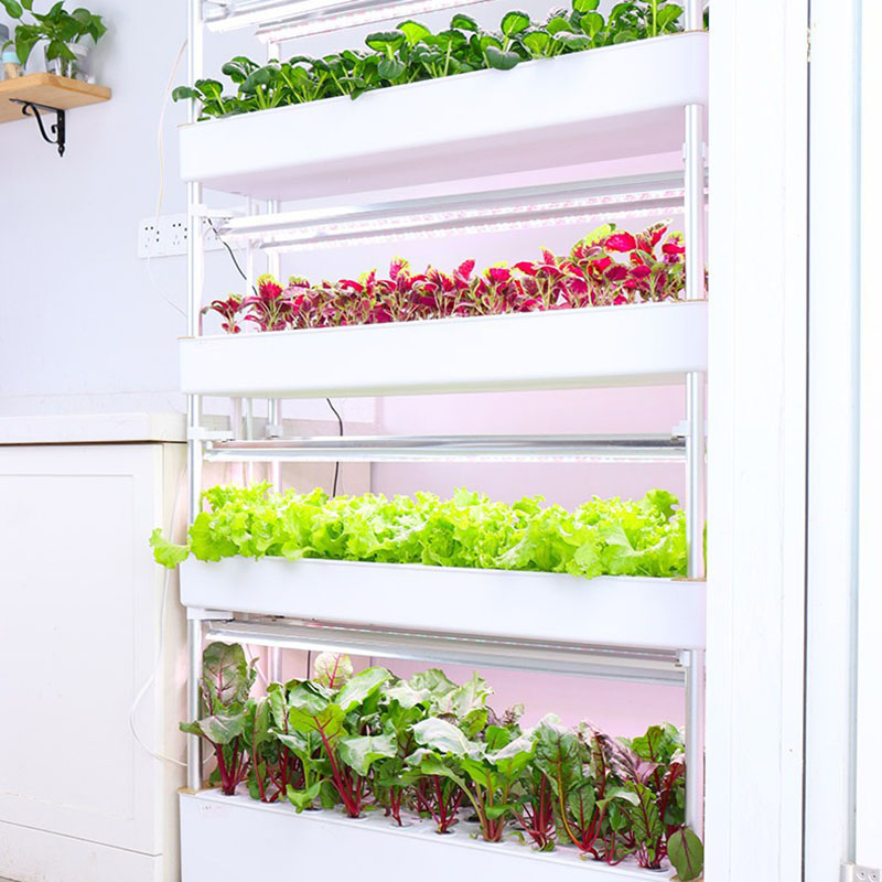 水耕栽培システム,家庭菜園の植物の栽培のための垂直のインテリ - Smart Garden Box のレビューと価格