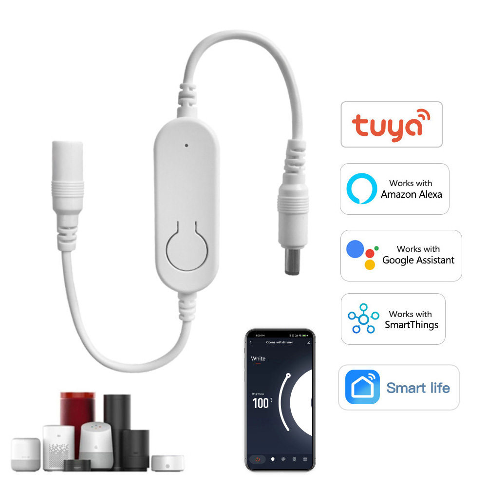 DC12V-24V Tuya Wifi LED ストリップラ - Smart Garden Light Controller のレビューと価格