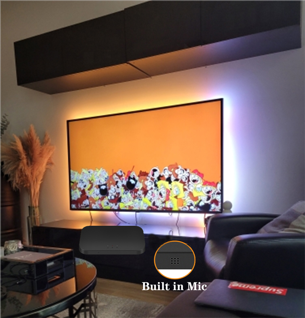 スマートアンビエントテレビ Led バックライト 4K HD - Smart Garden Light Controller のレビューと価格