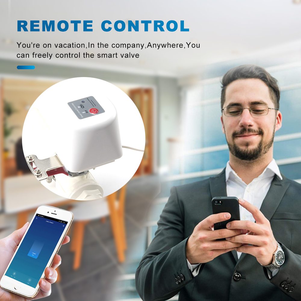 Tuya スマート Wifi ガスマニピュレーター 庭の水タ - Smart Garden Instructions のレビューと価格