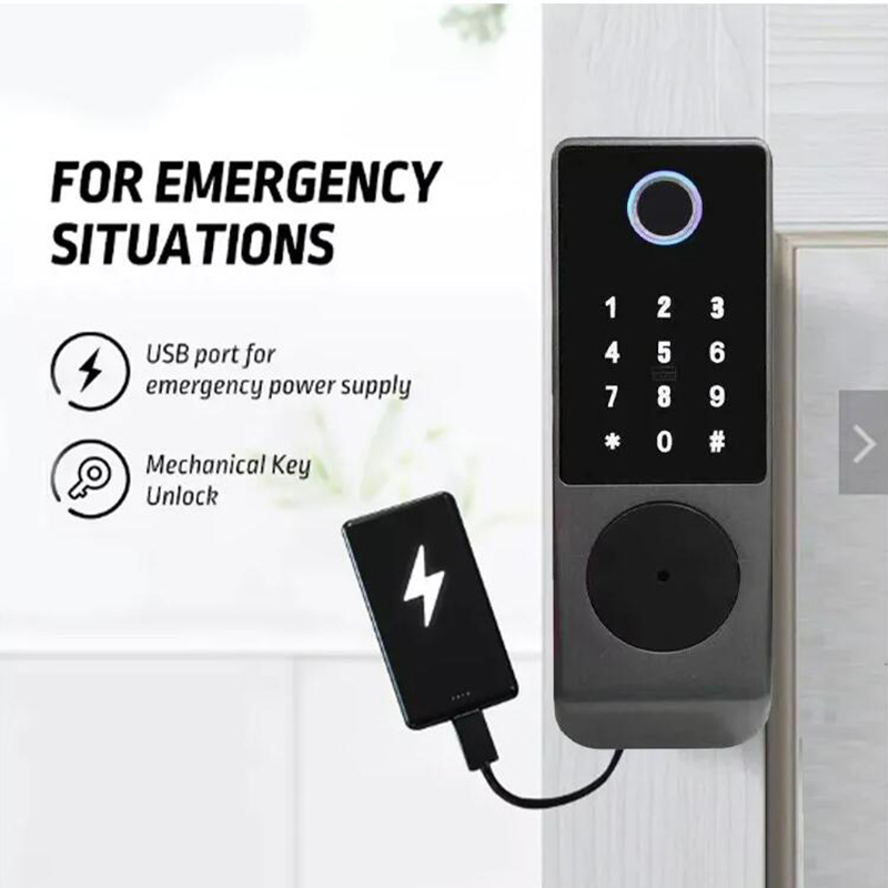 Tuya-インテリジェント防水ドアロック,屋外セキュリティロ - Smart Garden Gate のレビューと価格