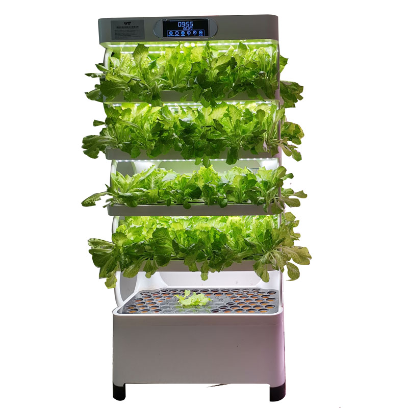 屋内スマート低価格水耕栽培垂直庭園水耕栽培植物野菜栽培システ - Smart Garden System のレビューと価格