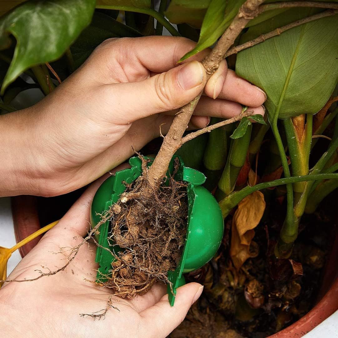 再利用可能な植物発根ボール、園芸接木ボックス、育成ボール、エ - Smart Garden Box のレビューと価格