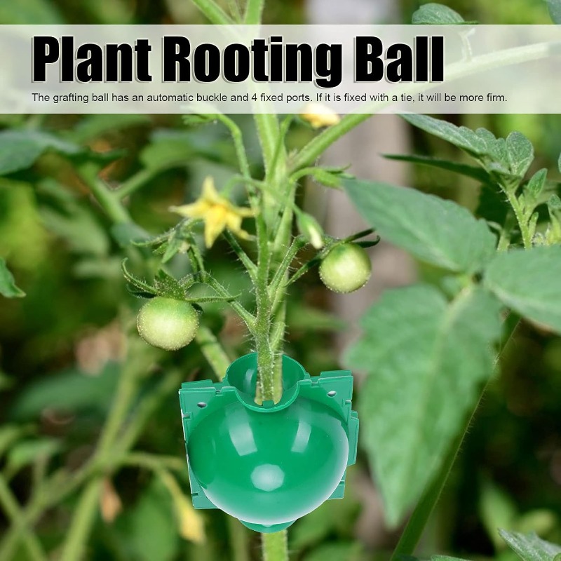 再利用可能な植物発根ボール、園芸接木ボックス、育成ボール、エ - Smart Garden Box のレビューと価格