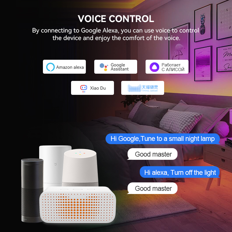 DR03W/DR04W Tuya WIFI LED コントロ - Smart Garden Light Controller のレビューと価格