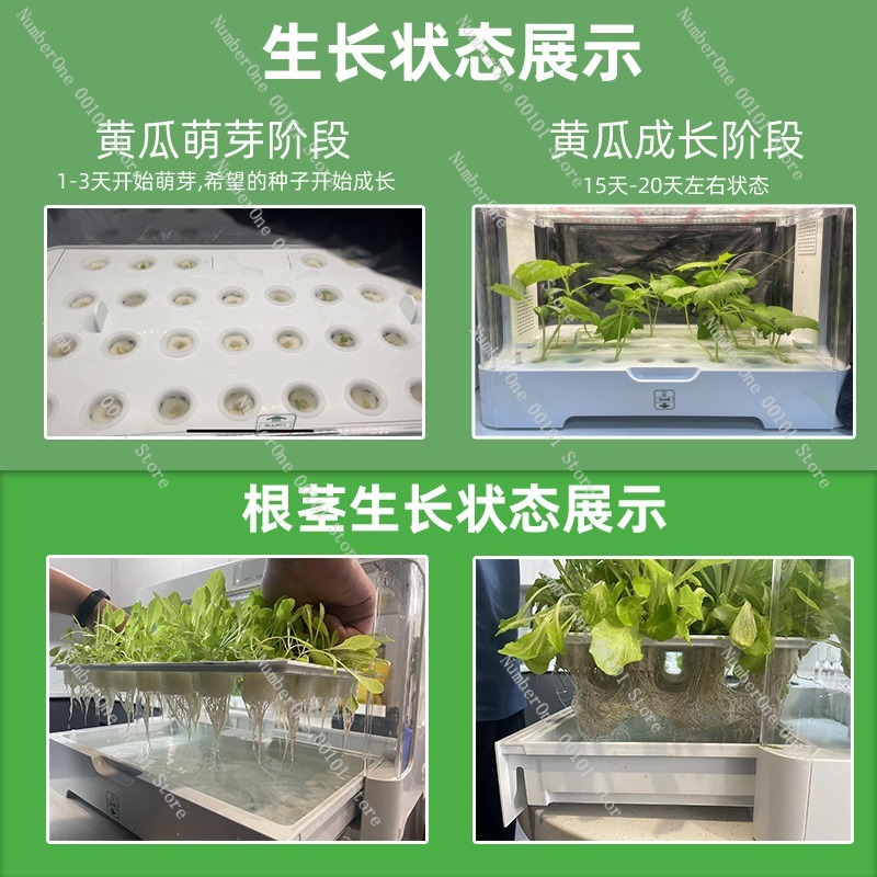 家庭用バルコニー スマート水耕栽培システム 土を使わない植栽 - Smart Garden Box のレビューと価格